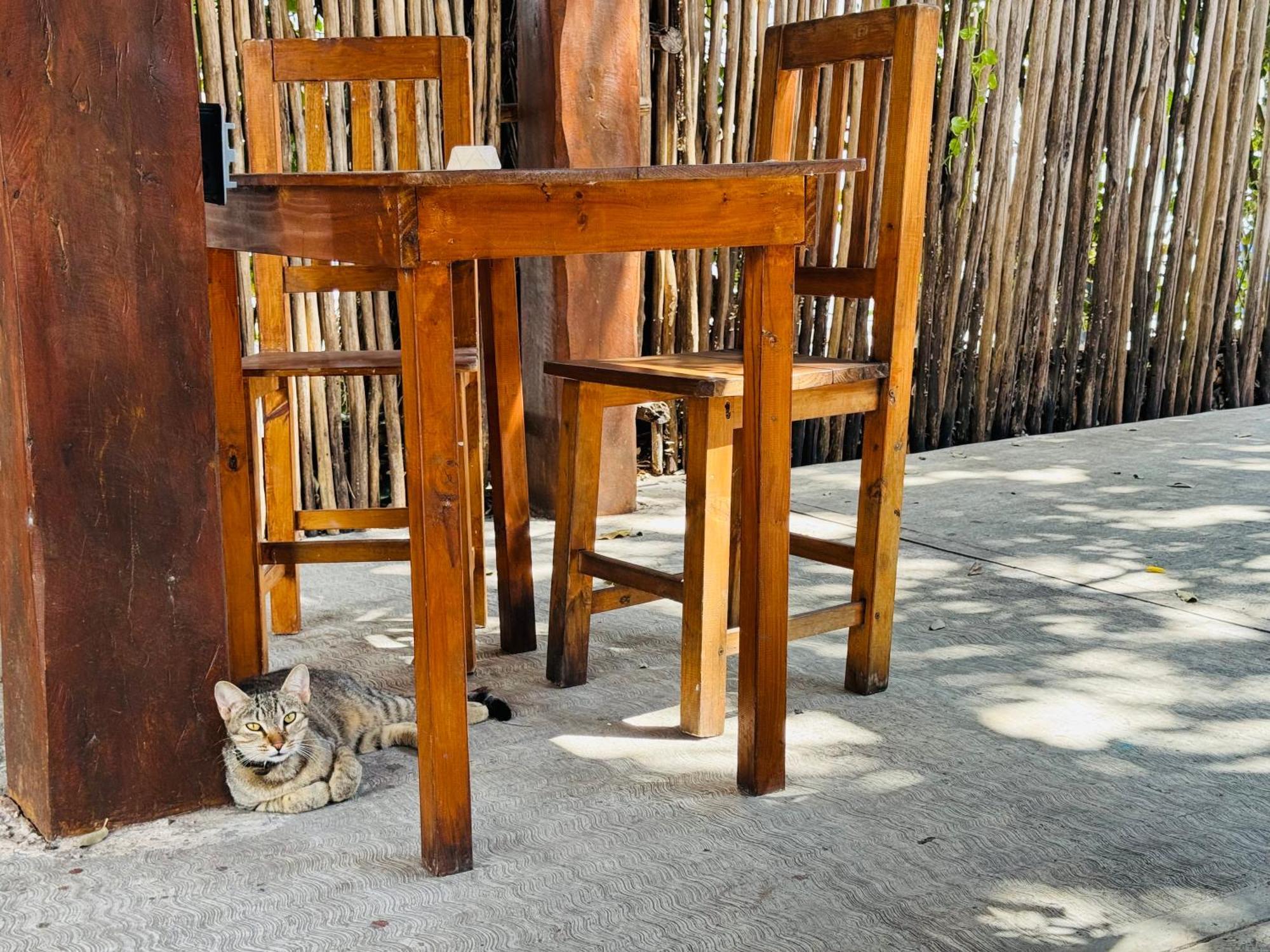 Ahava Hostal Boutique كانكون المظهر الخارجي الصورة