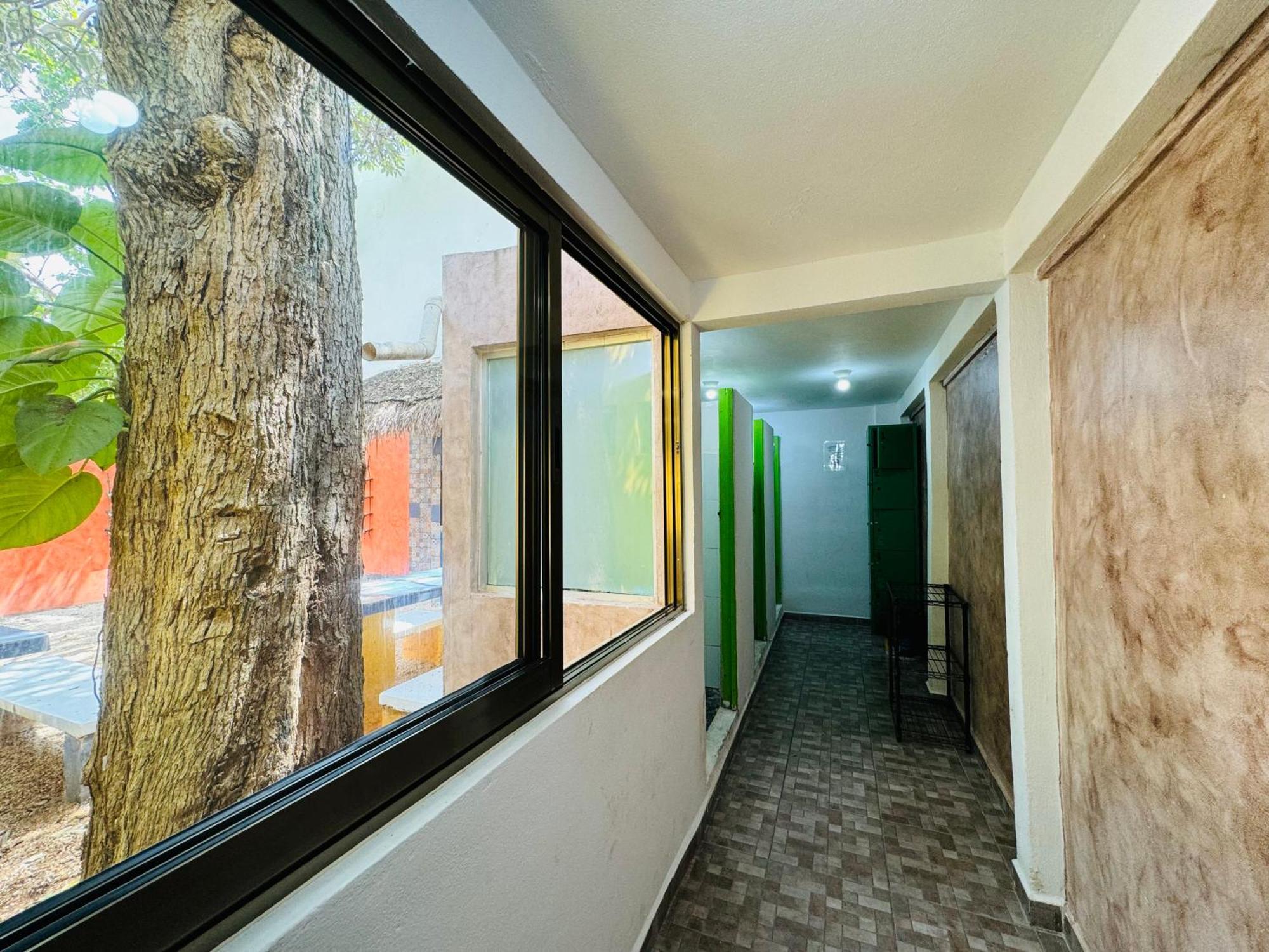 Ahava Hostal Boutique كانكون المظهر الخارجي الصورة